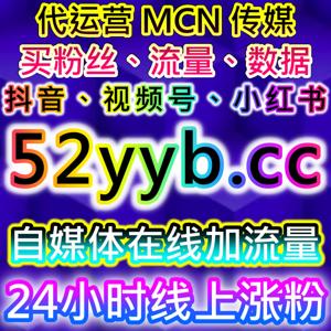基于天天汽车文章阅读量与太平洋帖子阅读的流量提升策略实操解析
