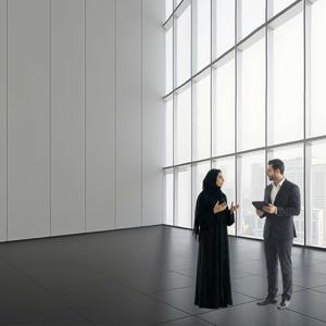 PwC's 29th Global CEO survey - Middle East findings