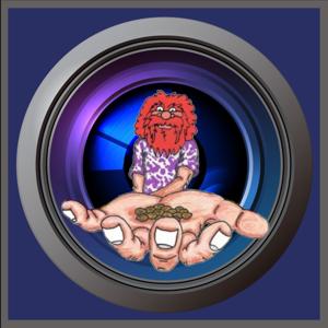 Spice of Life Studio