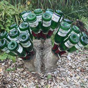 Sekt für den Weltfrieden