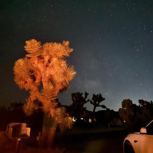 月亮是我的床頭燈