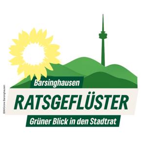 Ratsgeflüster - Grüner Blick in den Stadtrat Barsinghausen