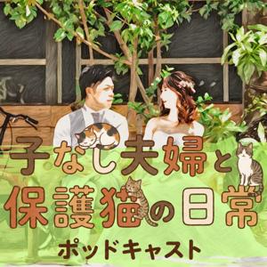 子なし夫婦と保護猫の日常