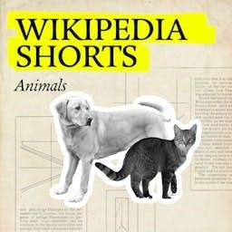 Wikipedia Shorts: Animals