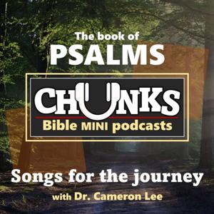 Chunks: The Book of Psalms