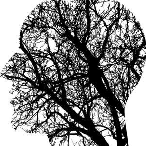 Alfonso Enrique Islas Rodríguez's Podcast