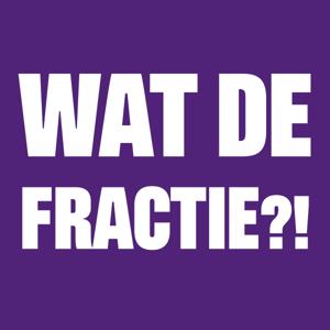 Wat de fractie?!
