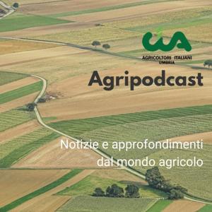 Cia Umbria Agripodcast