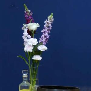 Ouvrir son cœur - Les pratiques pour manifester la bienveillance authentique - 2026