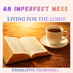 An Imperfect Mess Living for The Lord!