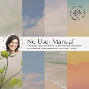 No User Manual — Mindfulness For Life Without Instructions