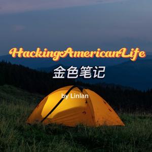 金色笔记 | Golden Notebook