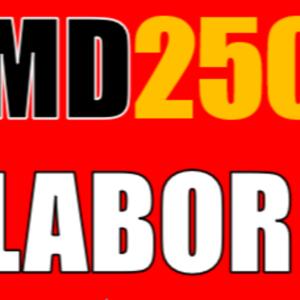 Maryland250 Labor History