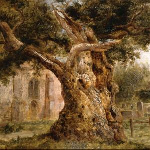 Erlebnisse eines Frontkämpfers