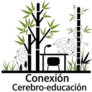 Conexión Cerebro-Educación