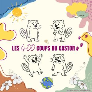 Les 400 coups du Castor !