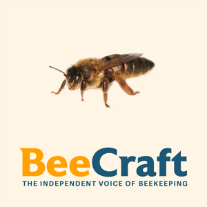 The BeeCraft Podcast