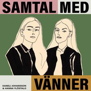 Samtal med vänner