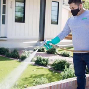 Pest Control in Arizona