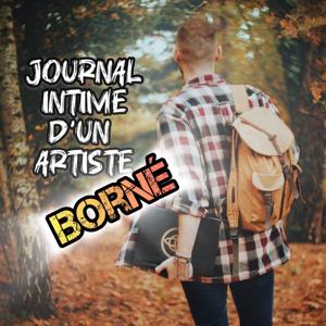 Journal intime d'un artiste borné