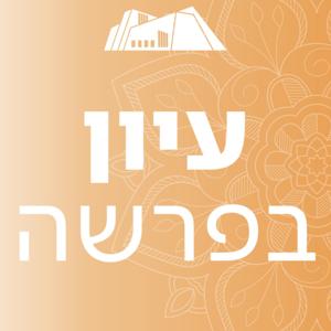 עיון בפרשה | הרב משה ליכטנשטיין