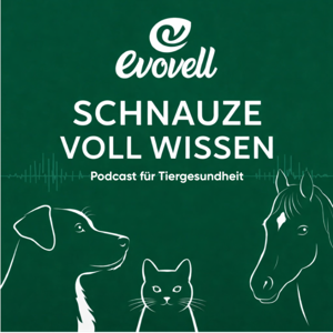 Evovell - Schnauze voll Wissen