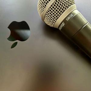 A Voice Less Ordinary