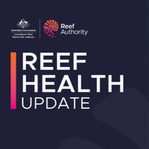 Reef Health Updates