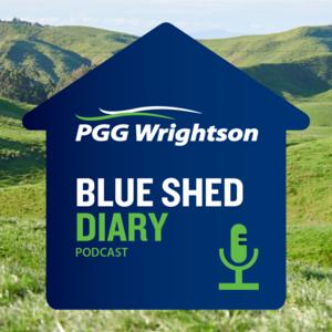 Blue Shed Diary