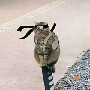 Jo的奇妙世界🌎