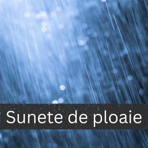 Sunete de ploaie