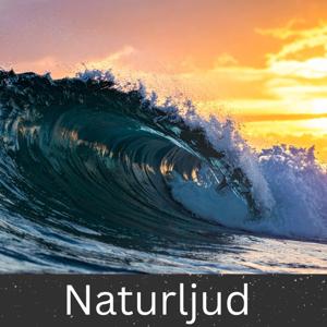 Naturljud