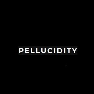 Pellucidity: Morning Walks with The Investing Doc