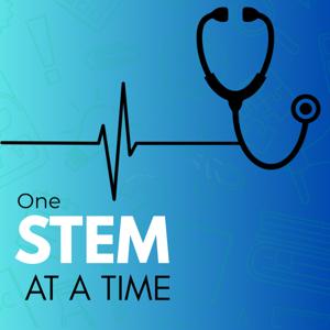 One Stem at a Time: High-Yield Board Review for Medical Students