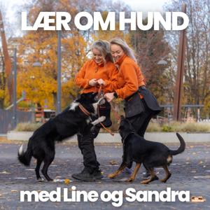 LÆR OM HUND
