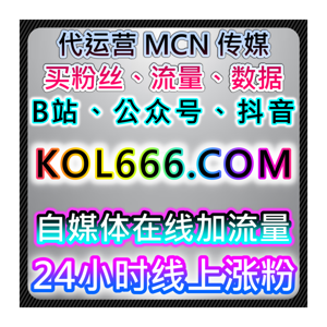 抖音关注与人数购买和互动行为策略解析,自动化平台辅助运营效率提升