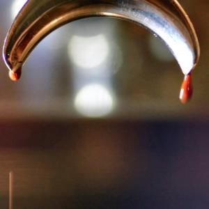 Barista!barista ? BARISTA! !