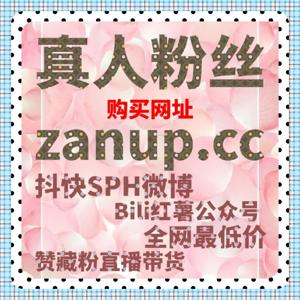 提升内容流量的秘密:自动化平台如何通过精确互动管理带来稳定增长