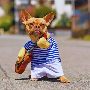 Paws, Style & Streetwear