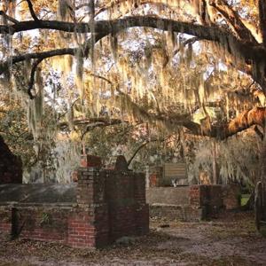 Savannah Paranormal
