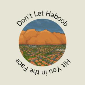 Don't Let Haboob Hit You In The Face