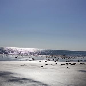 Cancer de mama "un dia a la vez"