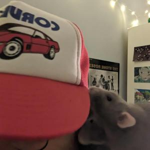 Stephen Pihlaja's Take, take, take Podcast