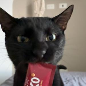 CONTEXTO LABORAL Y ACADEMICO