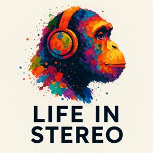 Life in Stereo