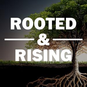 Rooted & Rising
