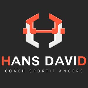 Hans David