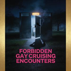 Forbidden Gay Cruising Encounters | Public Toilet Park Hookups | Erotic Audio ASMR [Male Narrator]