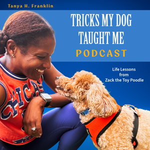 Tricks My Dog Taught Me with Tanya H. Franklin : Life Lessons from Zack the Toy Poodle