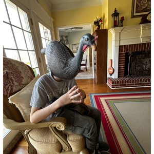 Cused tales on the farm